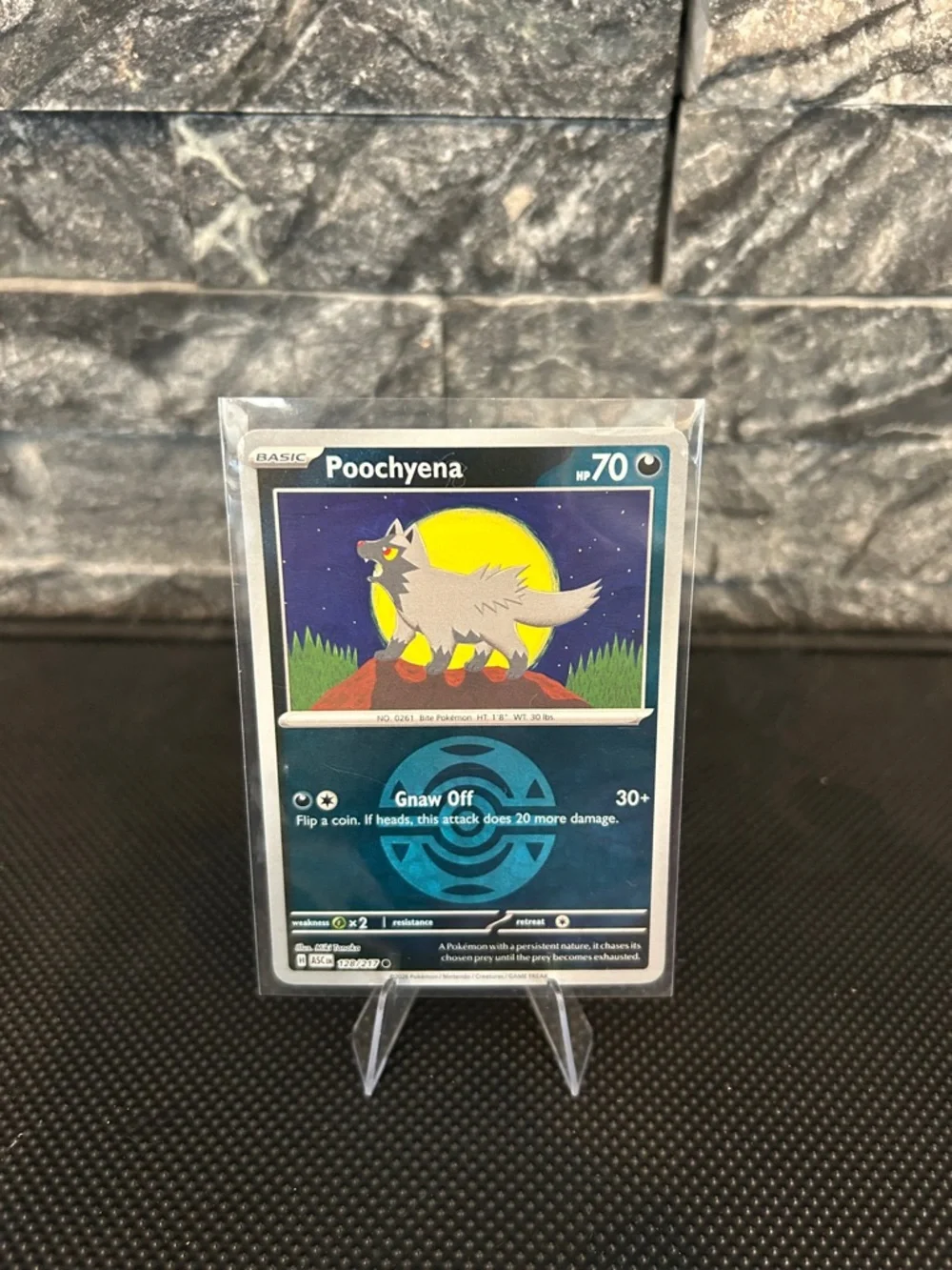 Pokémon Poochyena 128/217 Reverse Holo Rare from Ascended Heroes Set M/NM‎